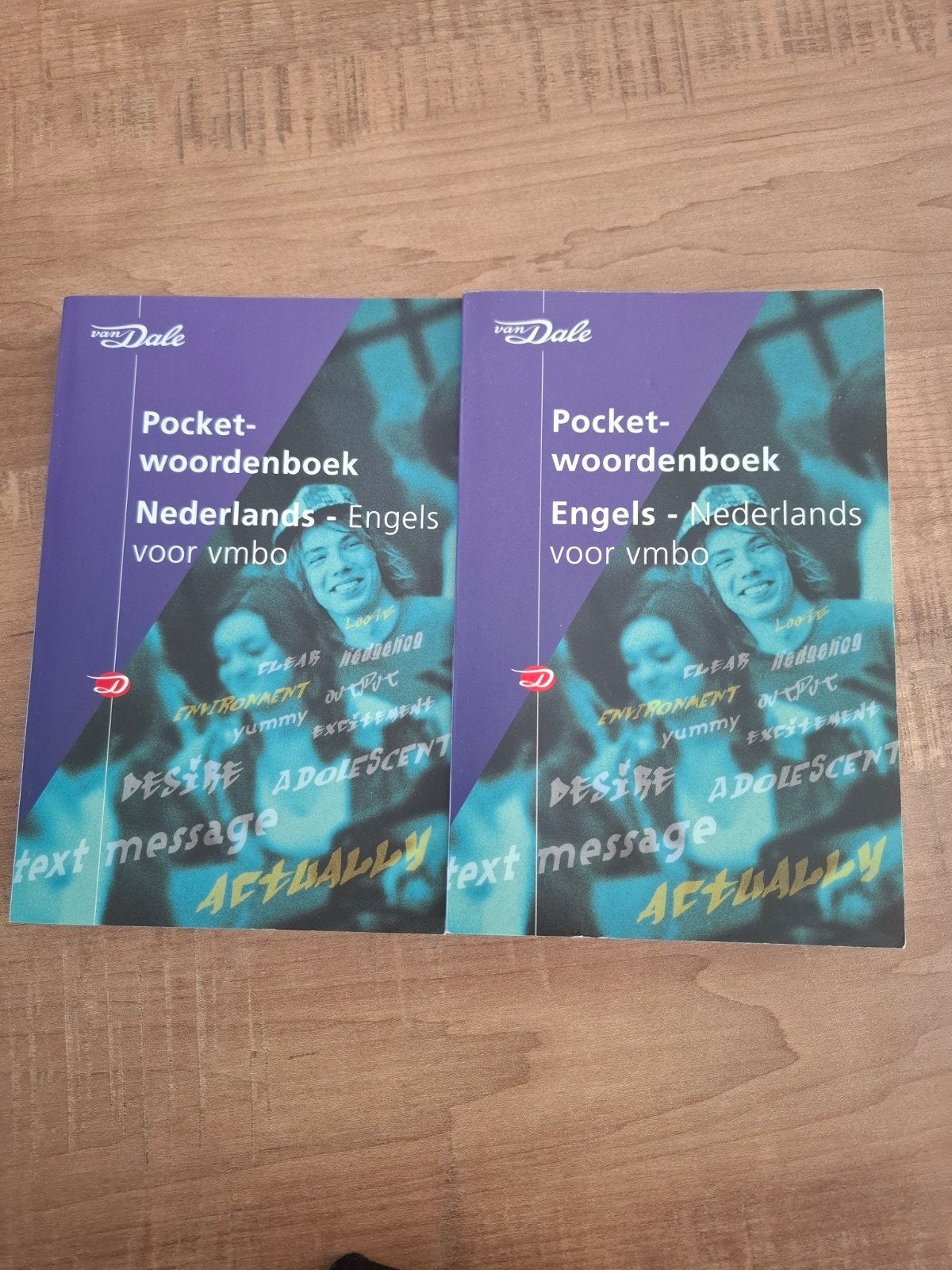 Van Dale woordenboek Nederlands-Engels & Engels-Nederla, Boeken, Ophalen of Verzenden, Gelezen, Van Dale, Non-fictie