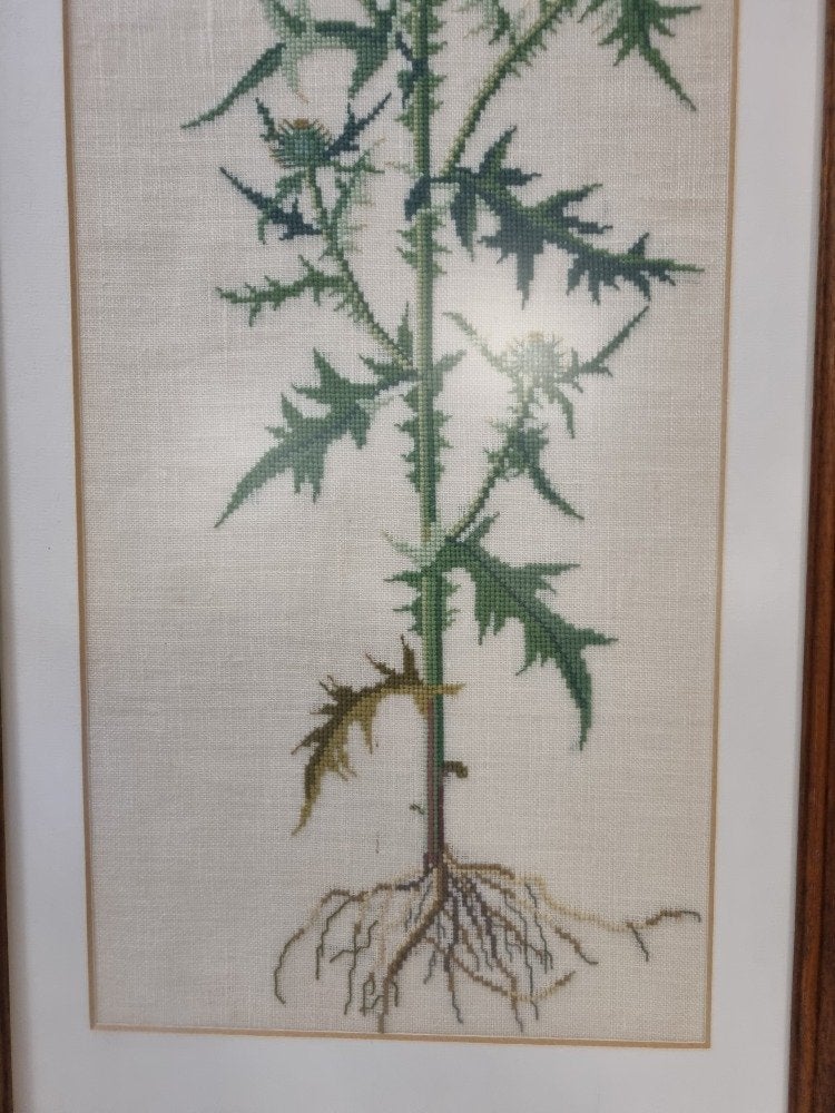 geborduurd schilderij distel in houten lijst, Ophalen of Verzenden, 'T Olde Gre-j, Info@toldegrej.nl, Endepoelstraat 20f Didam