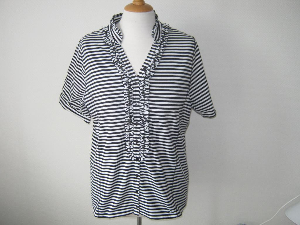 Mooie  top maat XXL van Witteveen ., Overige kleuren, Maat 46/48 (XL) of groter, Ophalen of Verzenden, Zo goed als nieuw