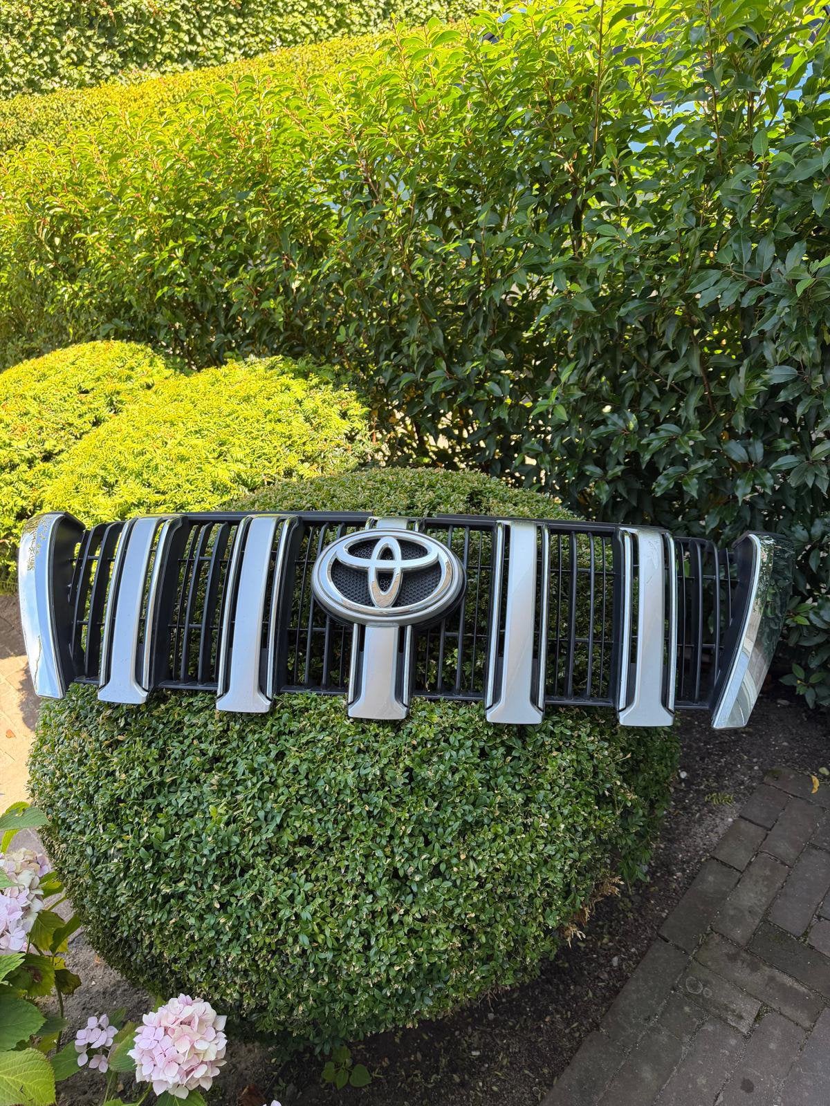 Toyota Grille, Gebruikt, Voor, Ophalen of Verzenden, Toyota
