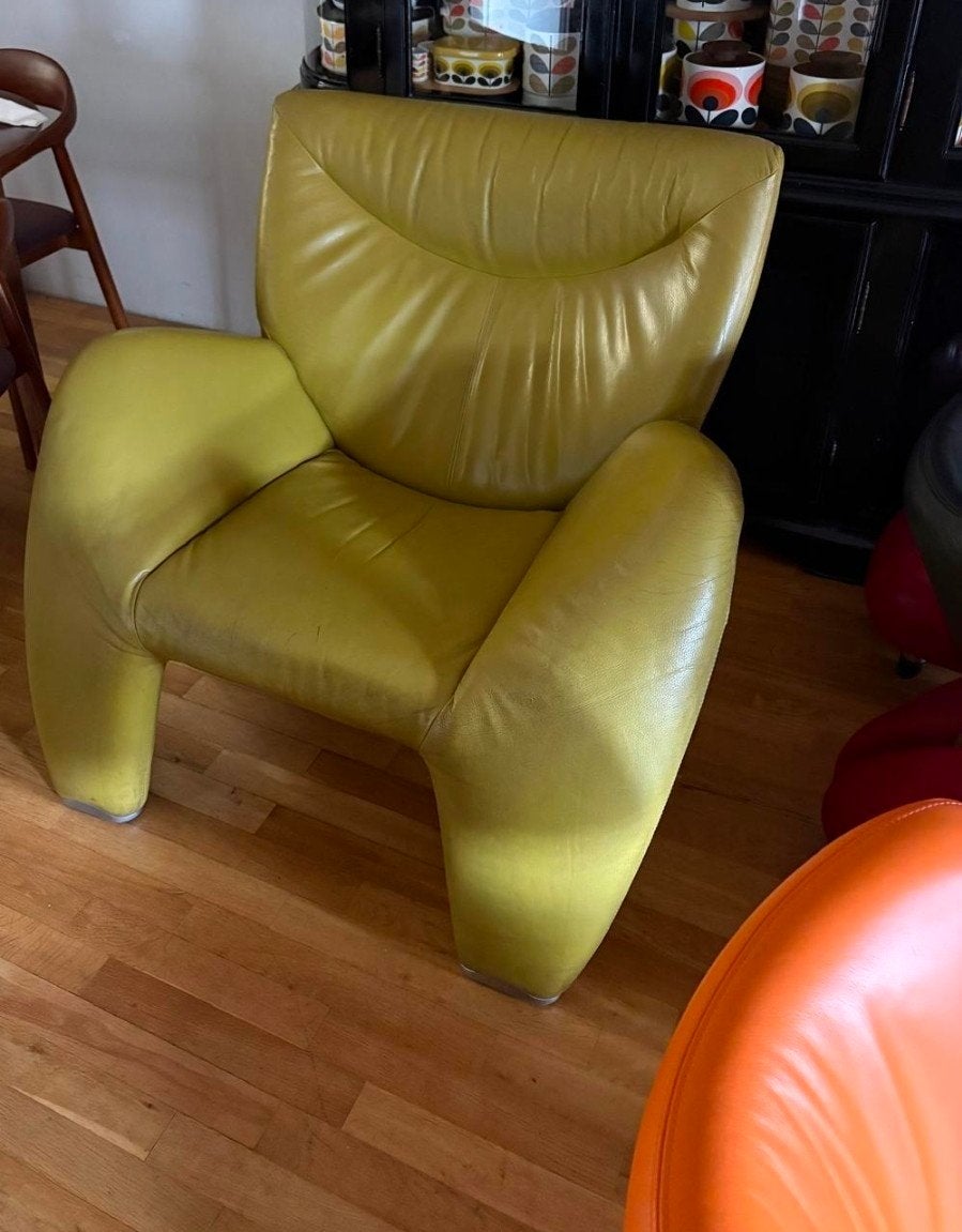 Leolux Echnaton design fauteuil, Gebruikt, Ophalen of Verzenden, 75 tot 100 cm, Modern Design, Organisch, Leolux