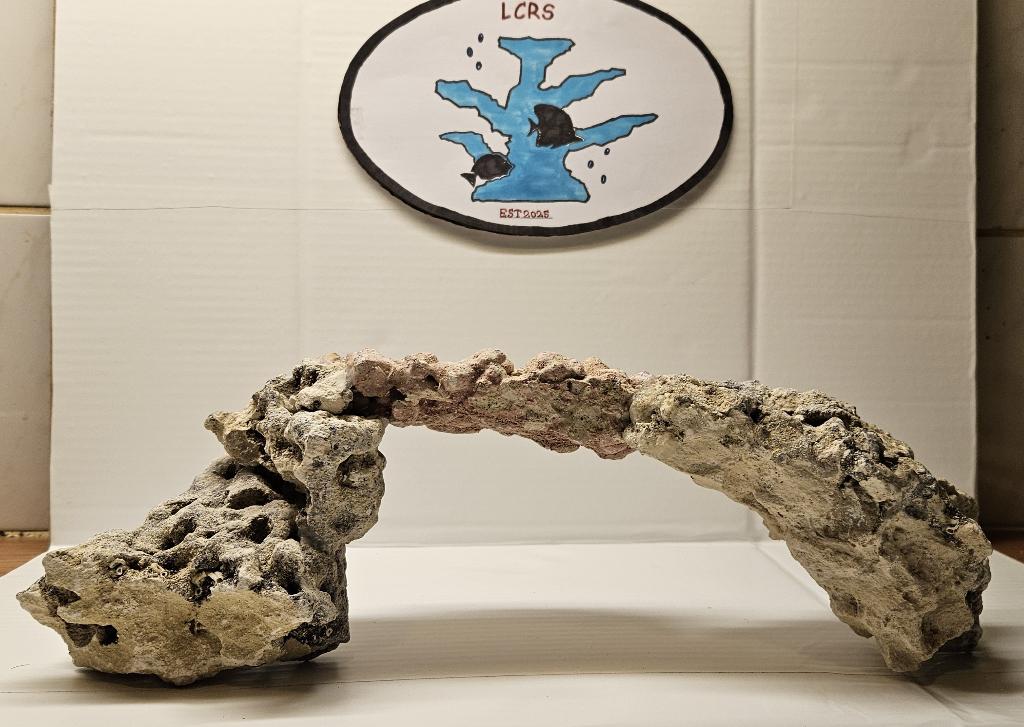 LCRS Arch small, Dieren en Toebehoren, Vissen | Aquaria en Toebehoren, Ophalen, Nieuw, Plant(en), Steen of Hout
