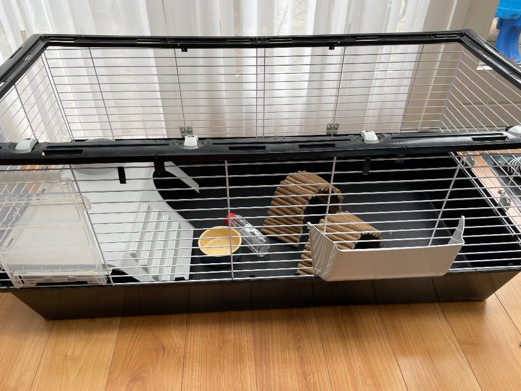 Caviahok met benodigdheden, Dieren en Toebehoren, Kooi, Cavia, Ophalen, Minder dan 60 cm
