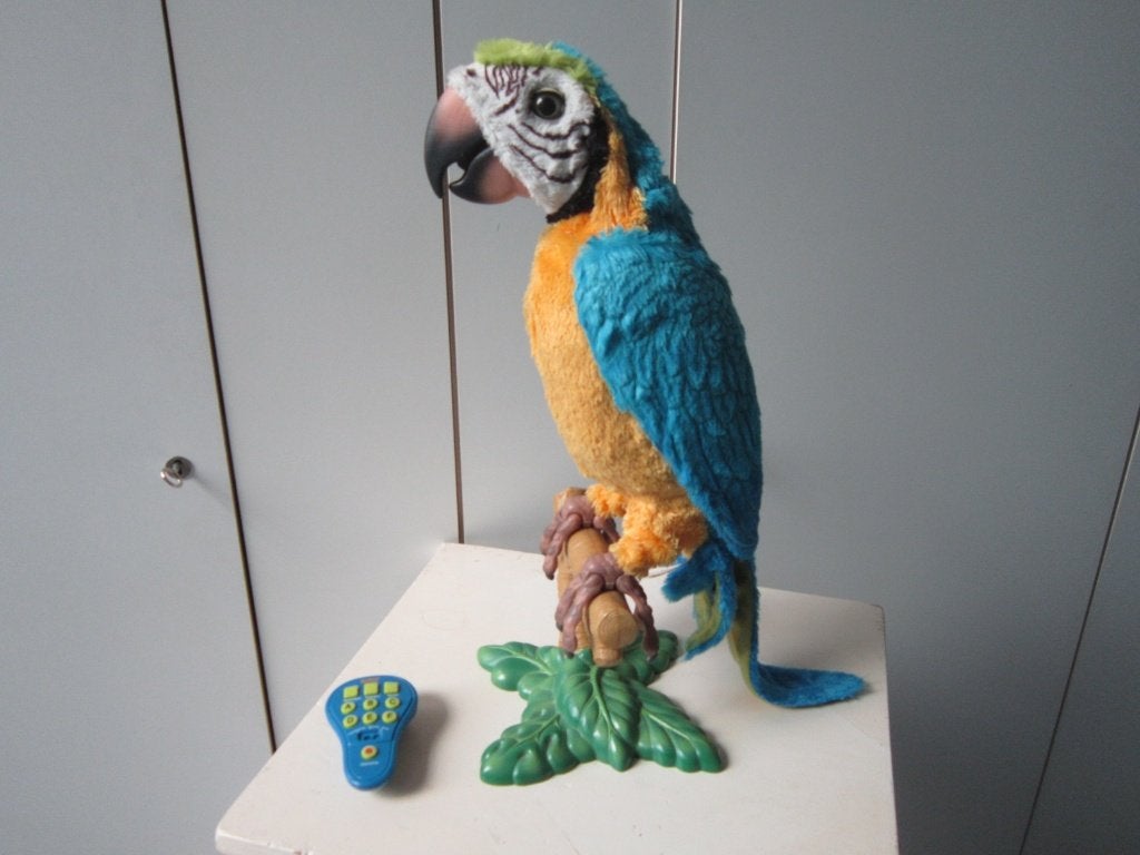 COCO PRATENDE PAPEGAAI FURREAL, Ophalen