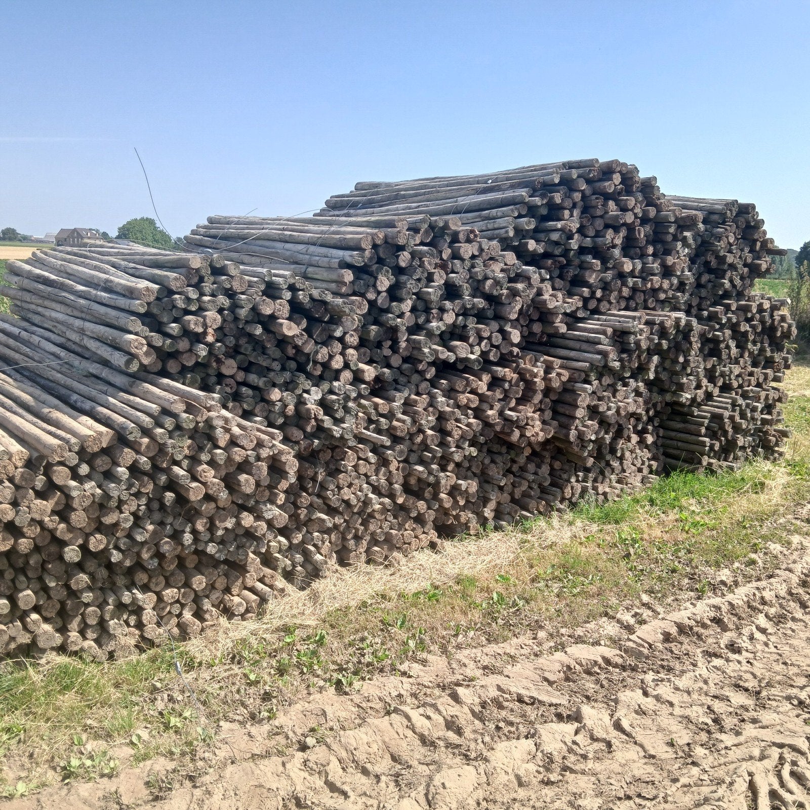 Te koop houten fruitboompalen 2,50 meter lang., Ophalen, Gebruikt, Overige typen