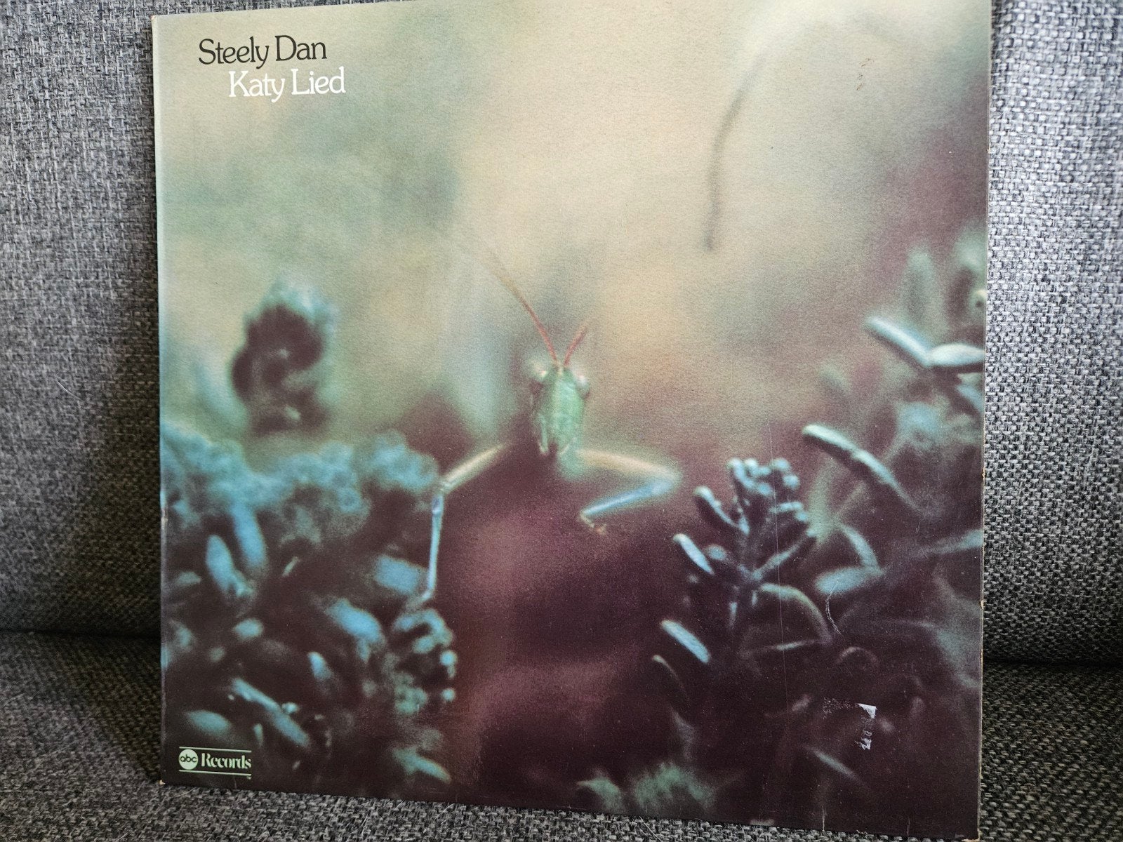 Steely Dan - Katy Lied LP (1975) - Classic Rock Vinyl, Cd's en Dvd's, LP, Ophalen of Verzenden, Zo goed als nieuw, Classic Rock