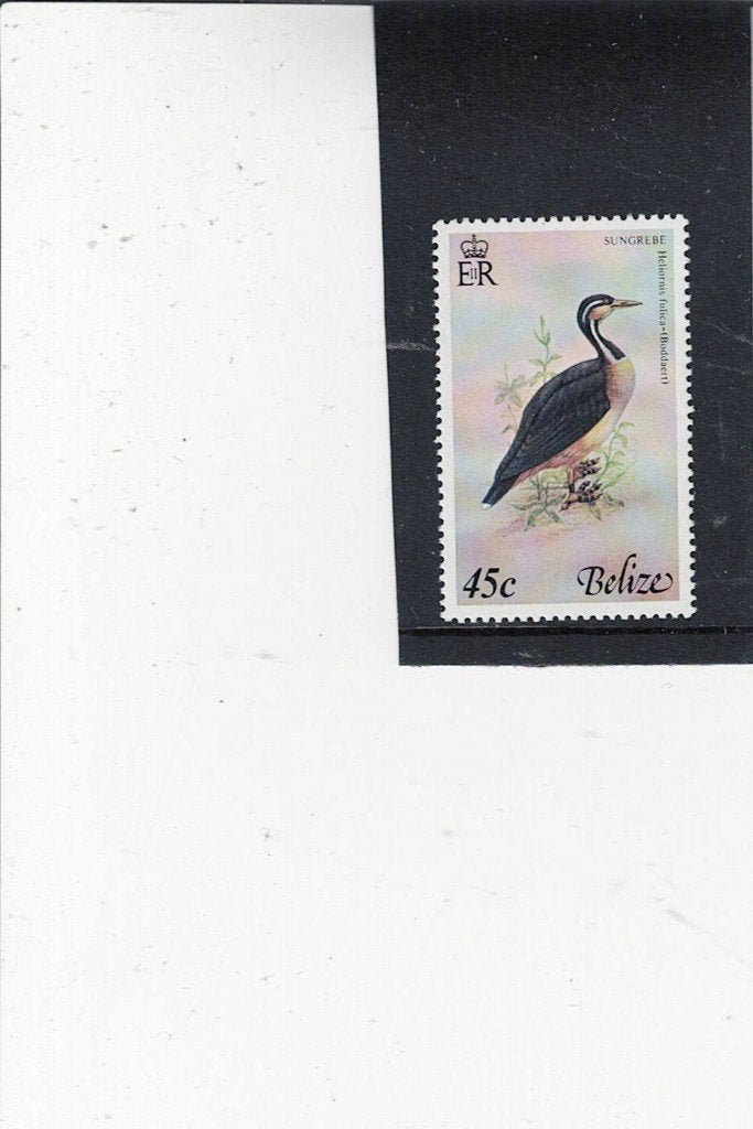 vogel Belize, Ophalen of Verzenden, Postfris, Dier of Natuur