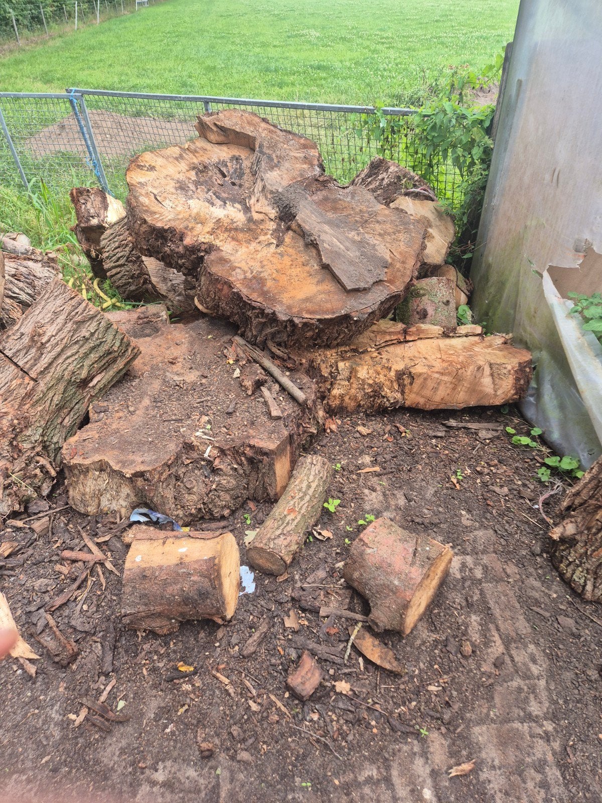 Dikke stukken en blokken, Tuin en Terras, Haardhout, 6 m³ of meer, Ophalen of Verzenden, Overige houtsoorten, Blokken