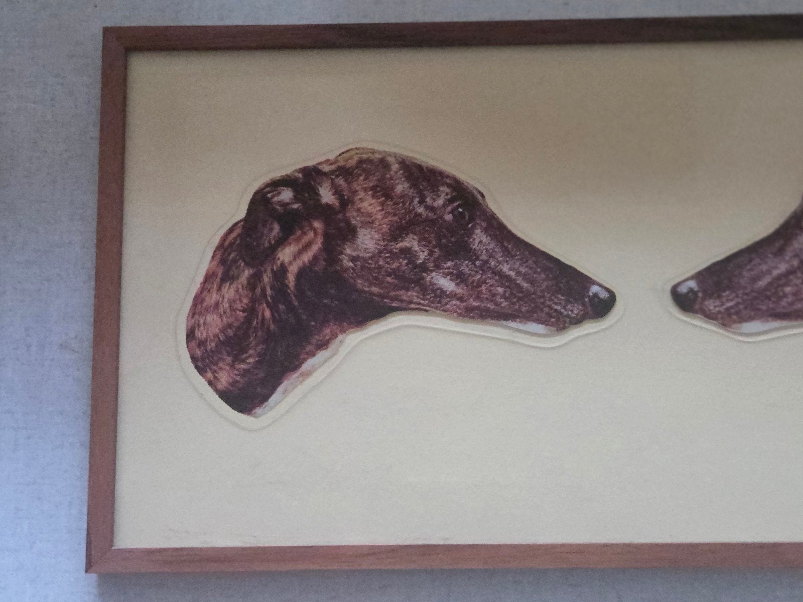 Vintage ingelijste print windhonden, Verzamelen, Ophalen of Verzenden, Gebruikt