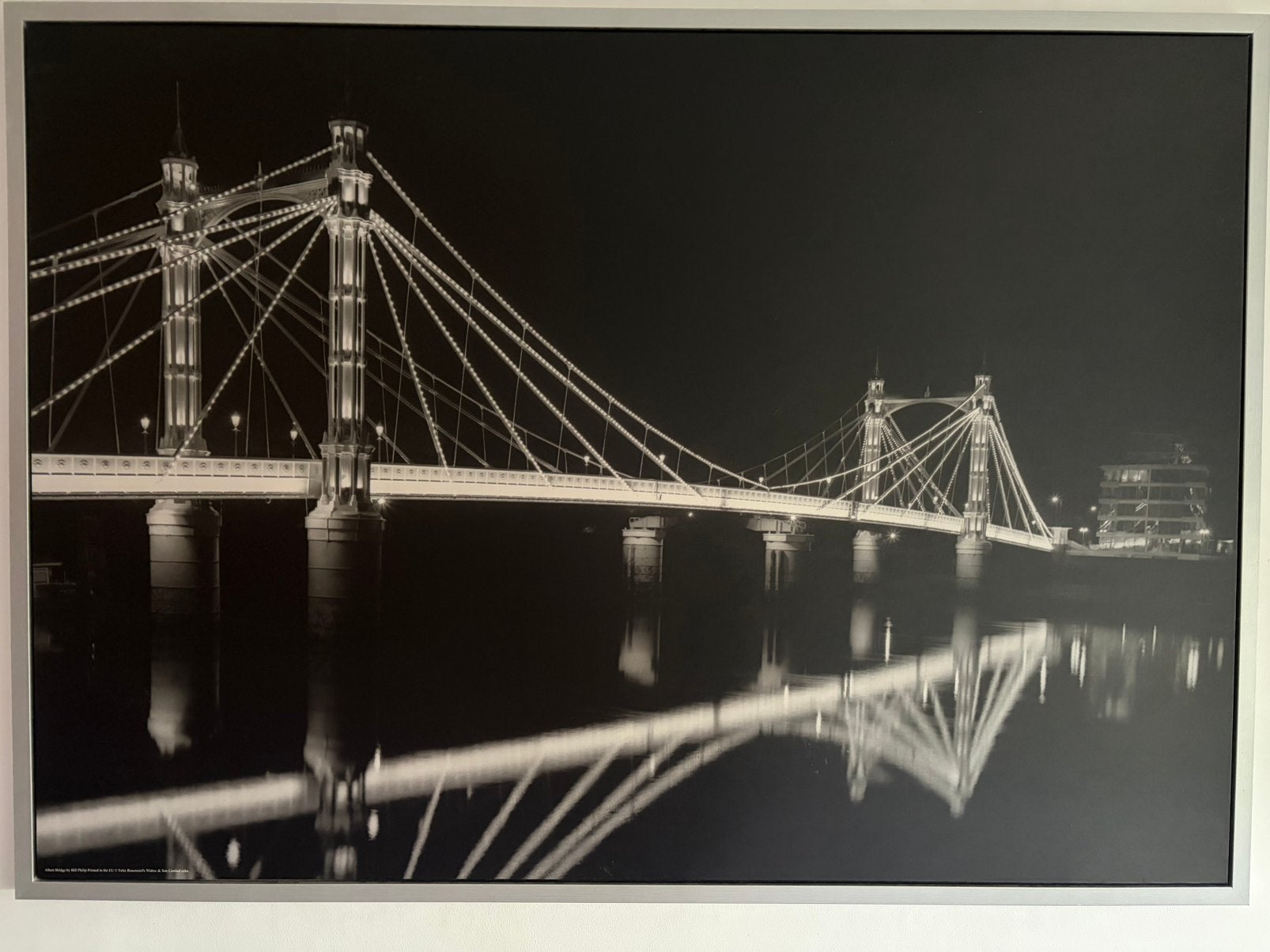 Stoere schilderij Albert Bridge, Antiek en Kunst, Ophalen
