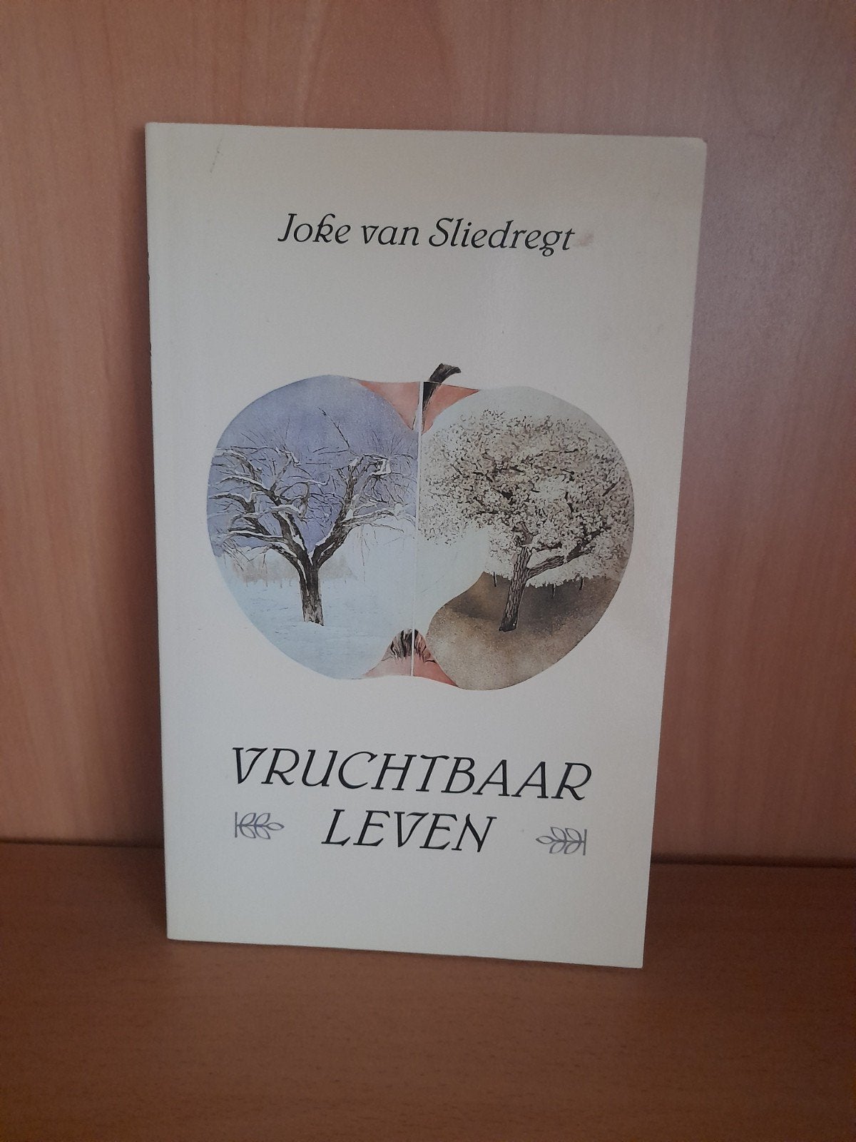 Vruchtbaar Leven - Joke van Sliedregt (Spiritualiteit), Achtergrond en Informatie, Spiritualiteit algemeen, Joke van Sliedregt