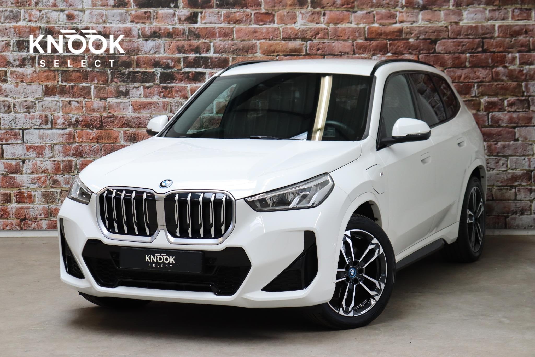 BMW X1 xDrive25e Executive M Sport Pakket Automaat / Widescr