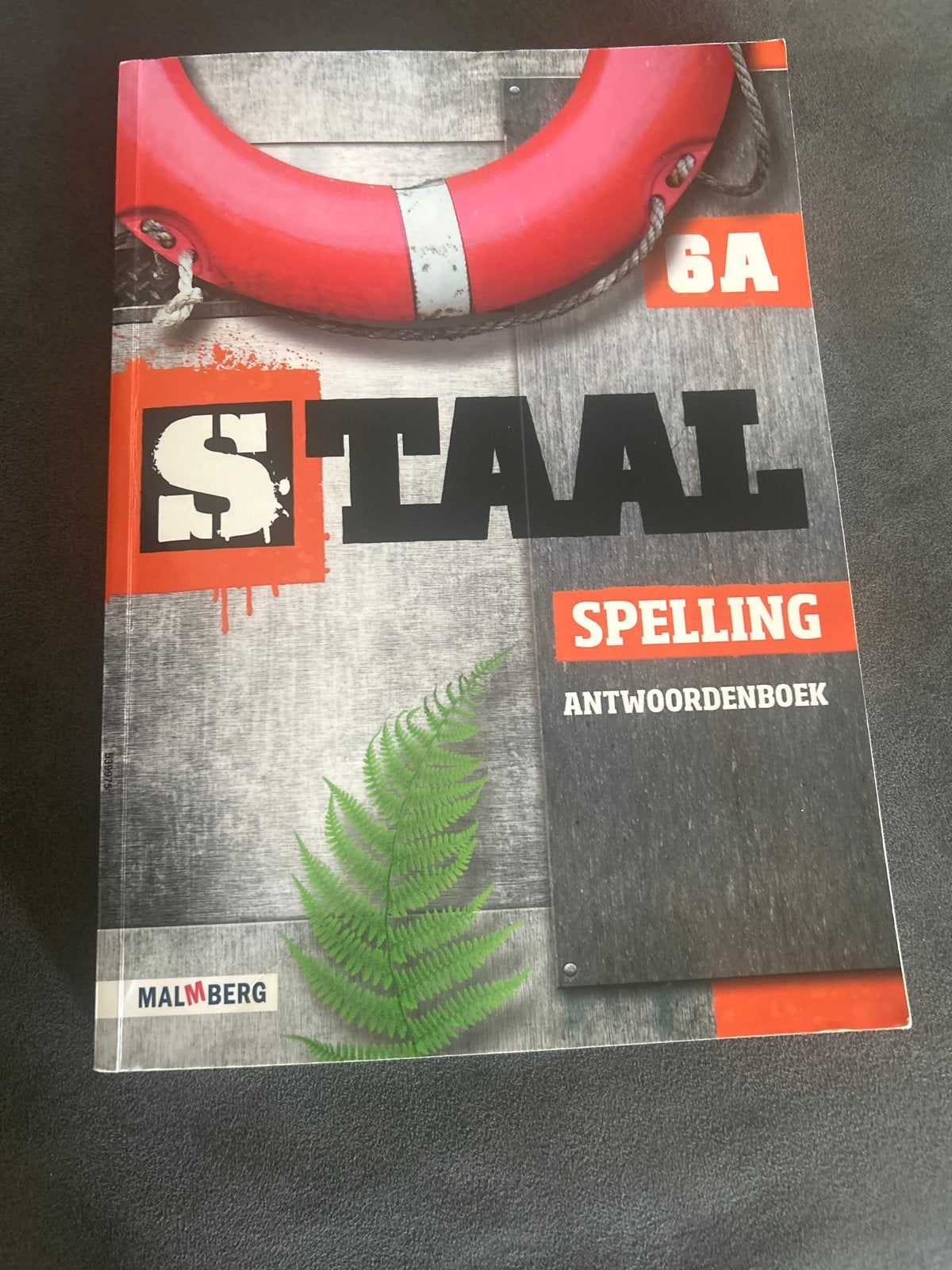 Staal Spelling Antwoordenboek 6A en 6B Malmberg, Ophalen of Verzenden, Gelezen, Overige niveaus, Nederlands