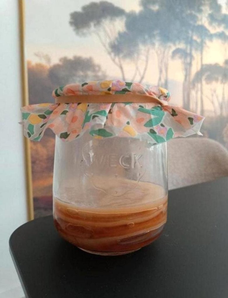 Kombucha scoby incl. startersvloeistof, Diversen, Ophalen