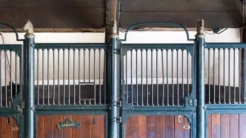 7x Luxe Klassieke Stalfronten met Boogdeur, Dieren en Toebehoren, Ophalen, Gebruikt, Overige soorten