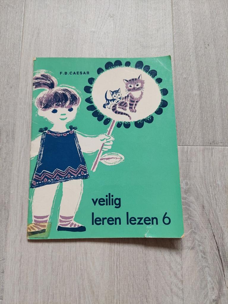 Veilig leren lezen 6 leesboekje, Ophalen of Verzenden, Gelezen