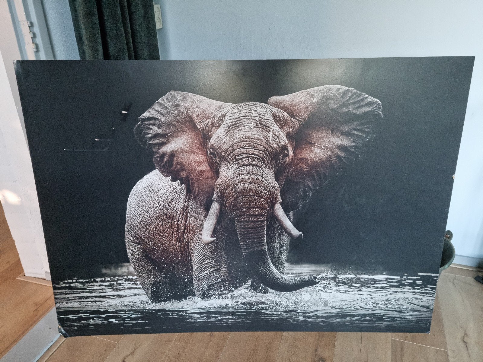 Enorme Olifanten lijst voor maar €5,-! Olifant Afrika

Besch, Huis en Inrichting, Ophalen, Gebruikt, Schilderij, 100 tot 125 cm