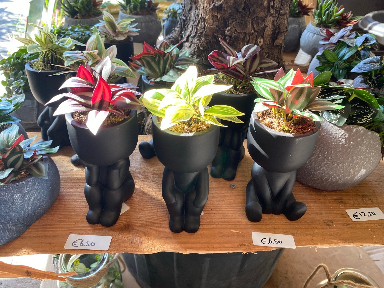 Zwarte poppetjes met kunststof plantjes, Ophalen, Zo goed als nieuw, Zwart, Kunststof