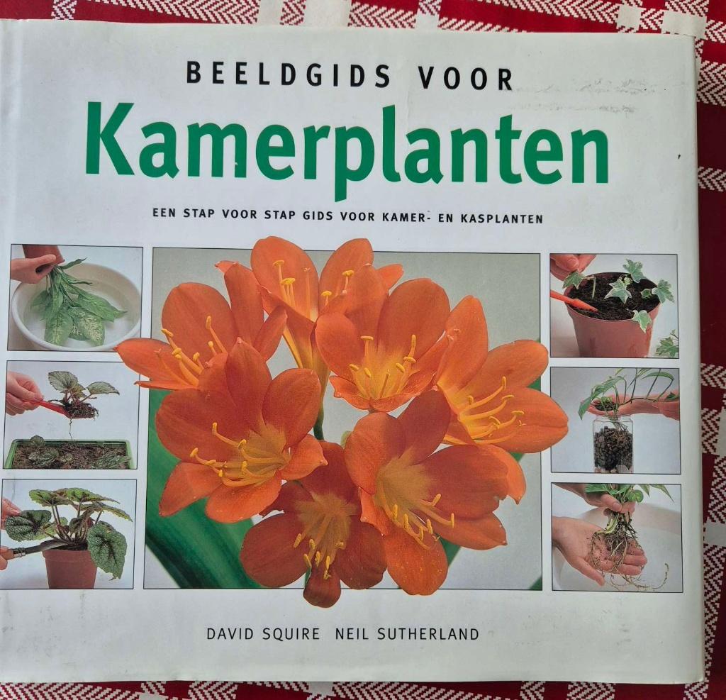 Boek Beeldgids voor Kamerplanten, Boeken, Partijen en Verzamelingen, Ophalen of Verzenden, Zo goed als nieuw, Overige