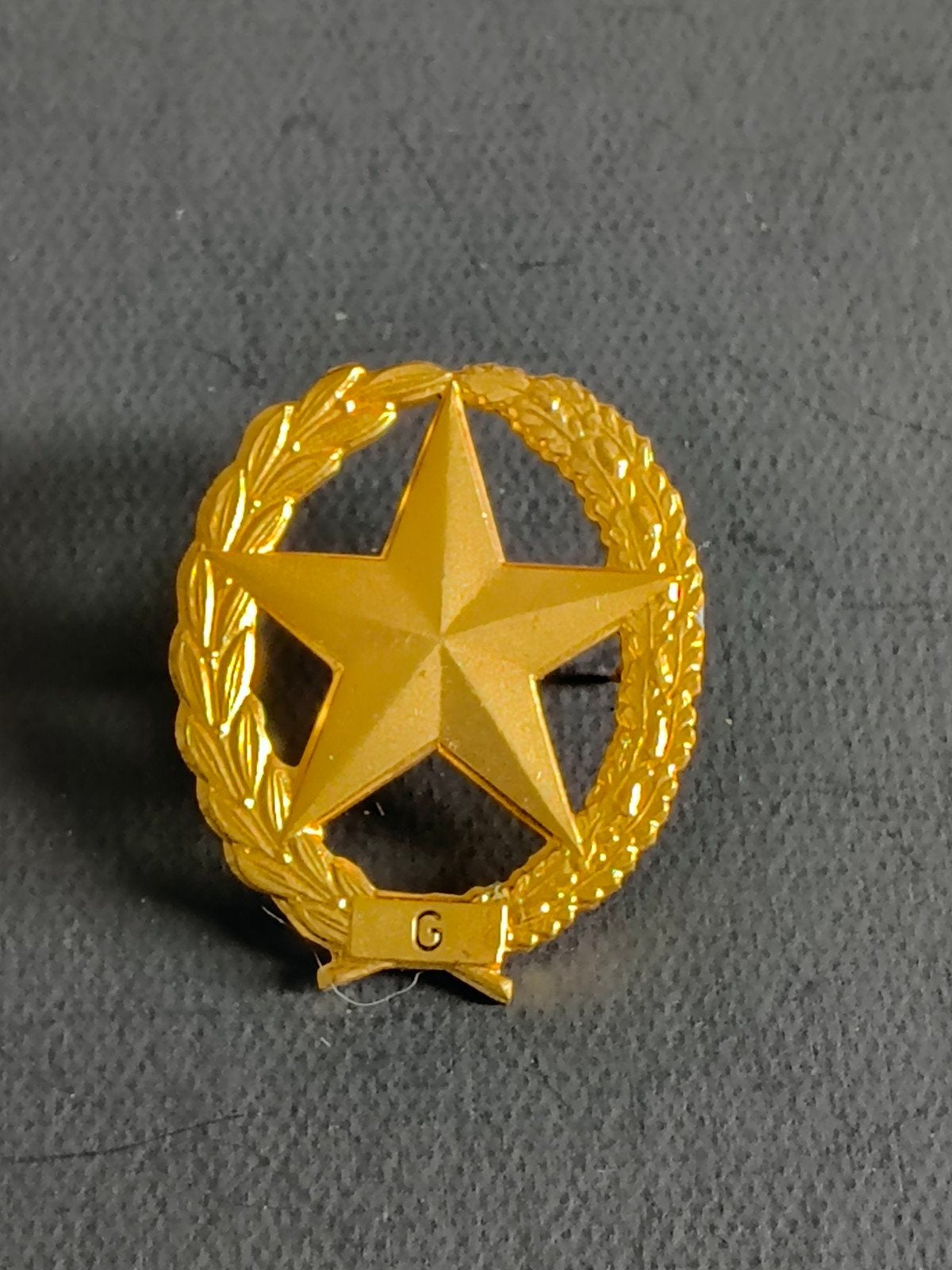 Gouden Schutters Badge met Ster en Lauwerkrans, Verzamelen, Ophalen of Verzenden