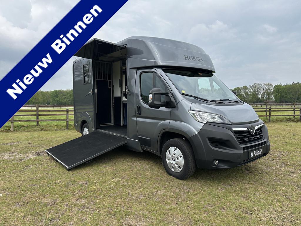 Opel Movano AKX 2-paards paardenvrachtwagen B-rijbewijs 3000, Dieren en Toebehoren, Gebruikt, Info@hulshof-trading.nl, Overige typen