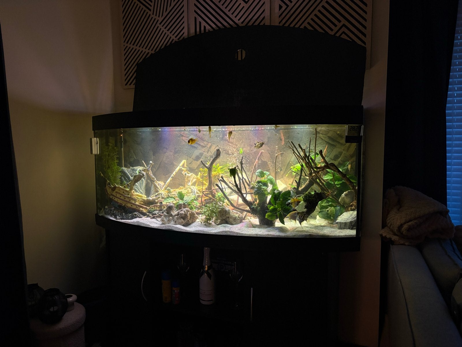 Juwel 450 aqaurium zonder inhoud, Ophalen, Gebruikt, Leeg aquarium, Juwel