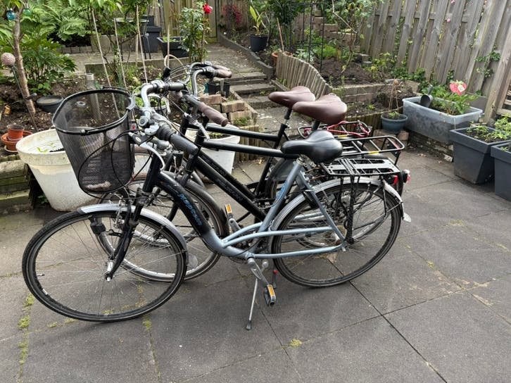 3 fietsen te koop: 2x Pelikaan heren, 1x Kapitein dames, Gebruikt, Velgrem, Versnellingen, Ophalen