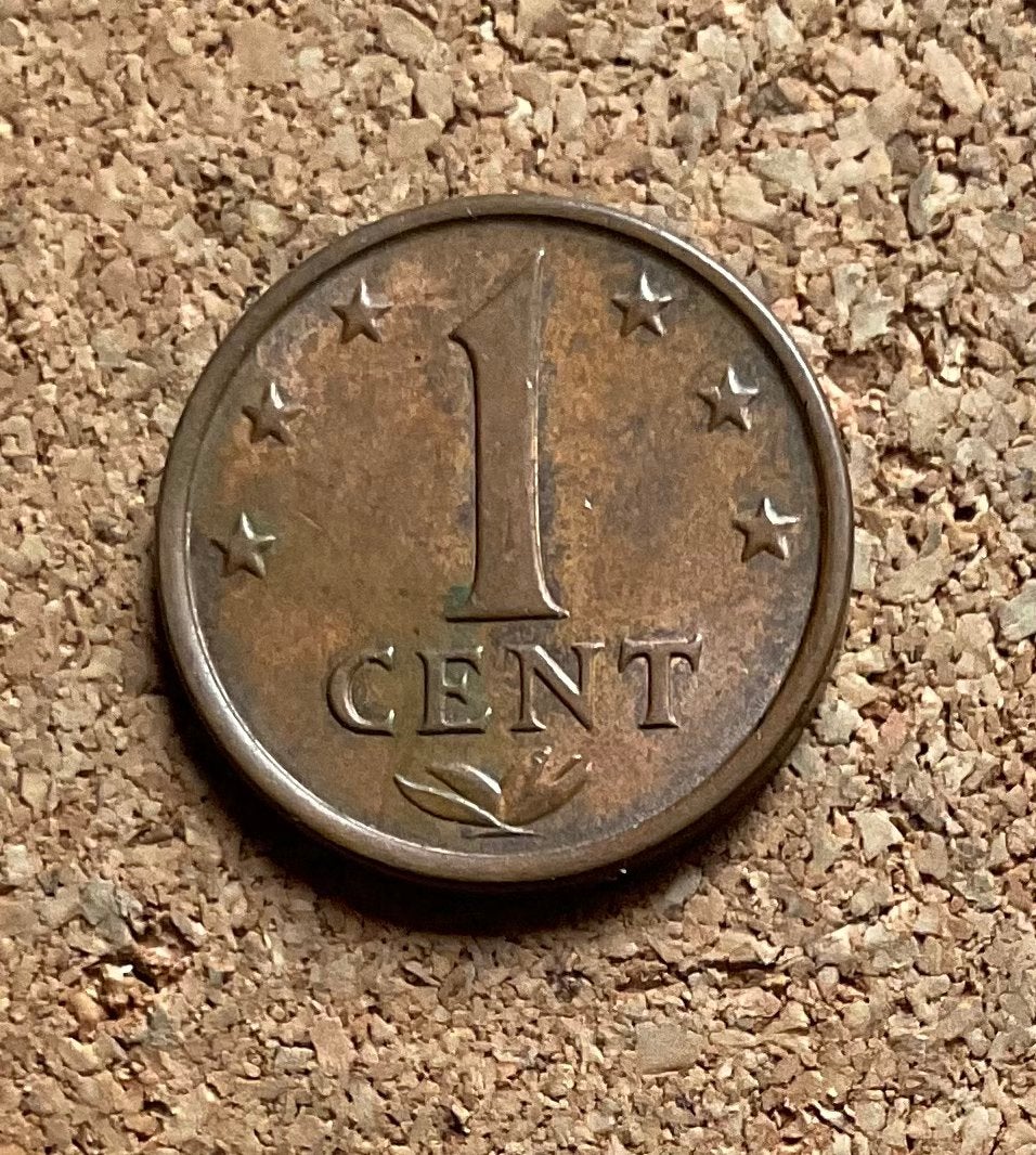 Munt - Nederlandse Antillen 1 cent 1973., Ophalen of Verzenden, Koningin Juliana, 1 cent, Losse munt