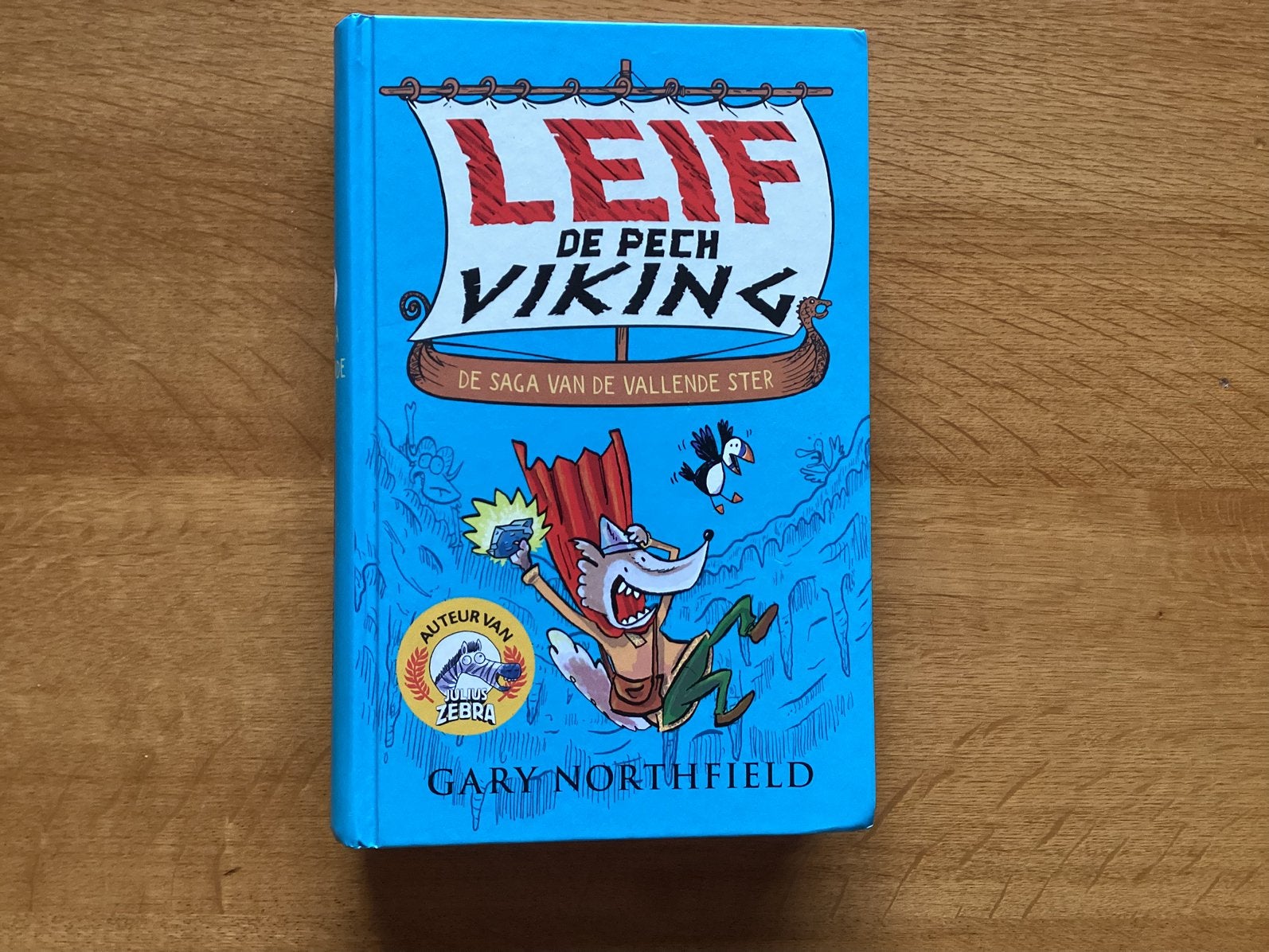 Gary Northfield - De saga van de vallende ster, Fictie algemeen, Nieuw, Ophalen of Verzenden, Gary Northfield