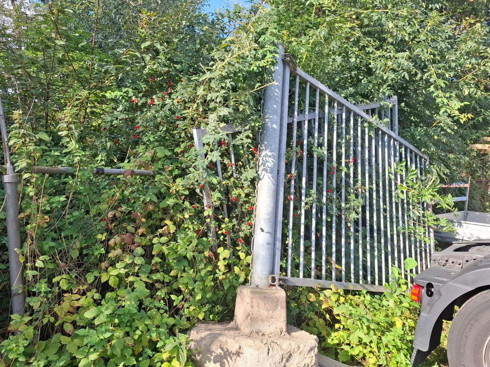 Robuuste poort 6 meter breed - Ideaal voor erf of oprit, Ophalen, Gebruikt, 150 tot 200 cm, Hout