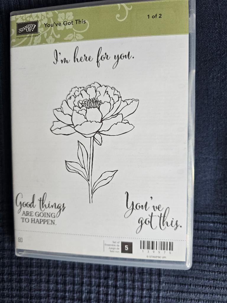 Stampin' up: You've got this 2 (nieuw), Ophalen of Verzenden, Nieuw, EZ-mounted stempel