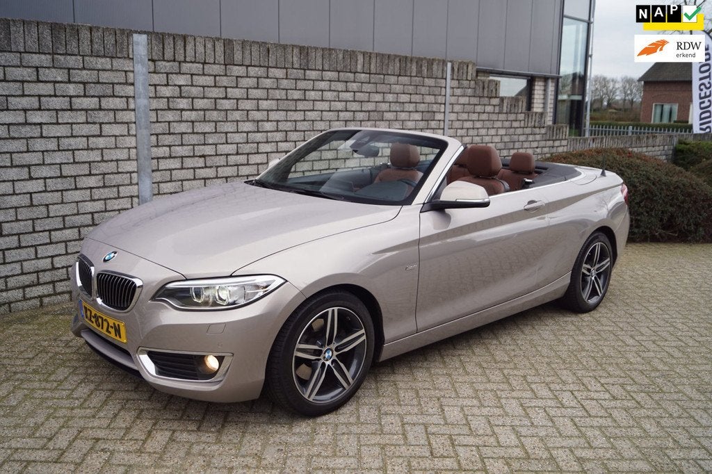BMW 2-serie Cabrio 220i High Executive Luxury Autom Leder Sp, Auto's, BMW, Automaat, Achterwielaandrijving, Gebruikt, Euro 6