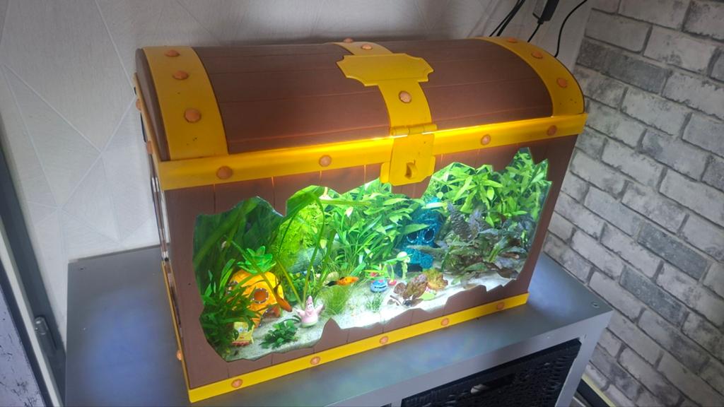 Uniek Schatkist/spongebob aquarium, Ophalen, Overige merken, Inclusief toebehoren, Gevuld zoetwateraquarium