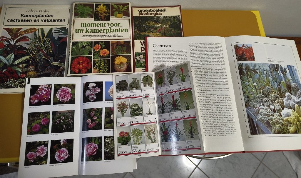 plantenboeken buiten / binnen o.a. Wim Oudshoorn veel foto's, Wim Oudshoorn e.a., Ophalen of Verzenden, Zo goed als nieuw, Kamerplanten