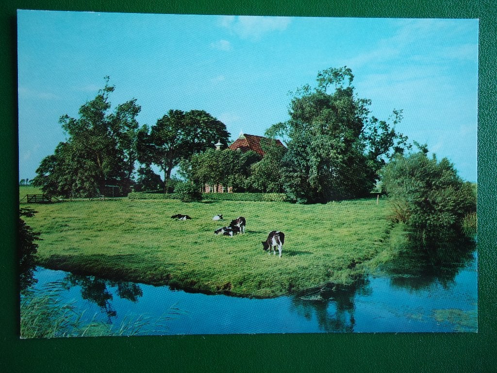 (1565) Kaart: FRIESLAND, Verzenden, 1980 tot heden, Ongelopen, Friesland