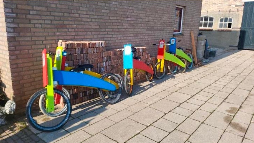 carnaval optocht loopgroep fatbikes met hoodies, Ophalen, Maat 46/48 (XL) of groter, Carnaval