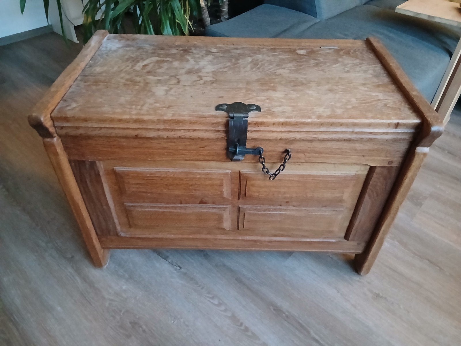 Mooie dekenkist met deksel en klep, Huis en Inrichting, Woonaccessoires | Kisten, Ophalen, Gebruikt