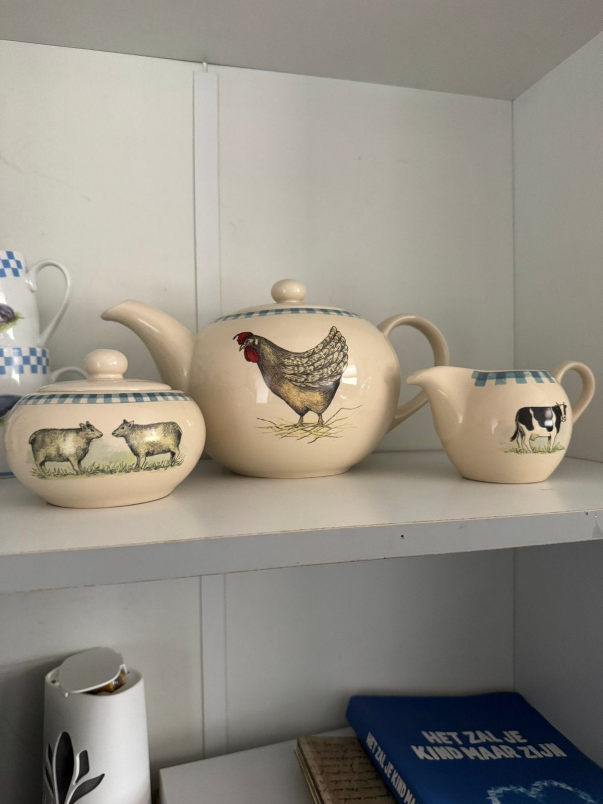 Thee servies Jet ter steeg, Huis en Inrichting, Ophalen of Verzenden, Zo goed als nieuw, Overige stijlen, Overige typen