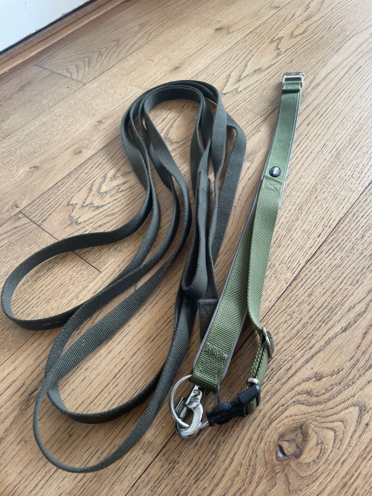 Hondenriem met halsband, Dieren en Toebehoren, Ophalen of Verzenden, Zo goed als nieuw
