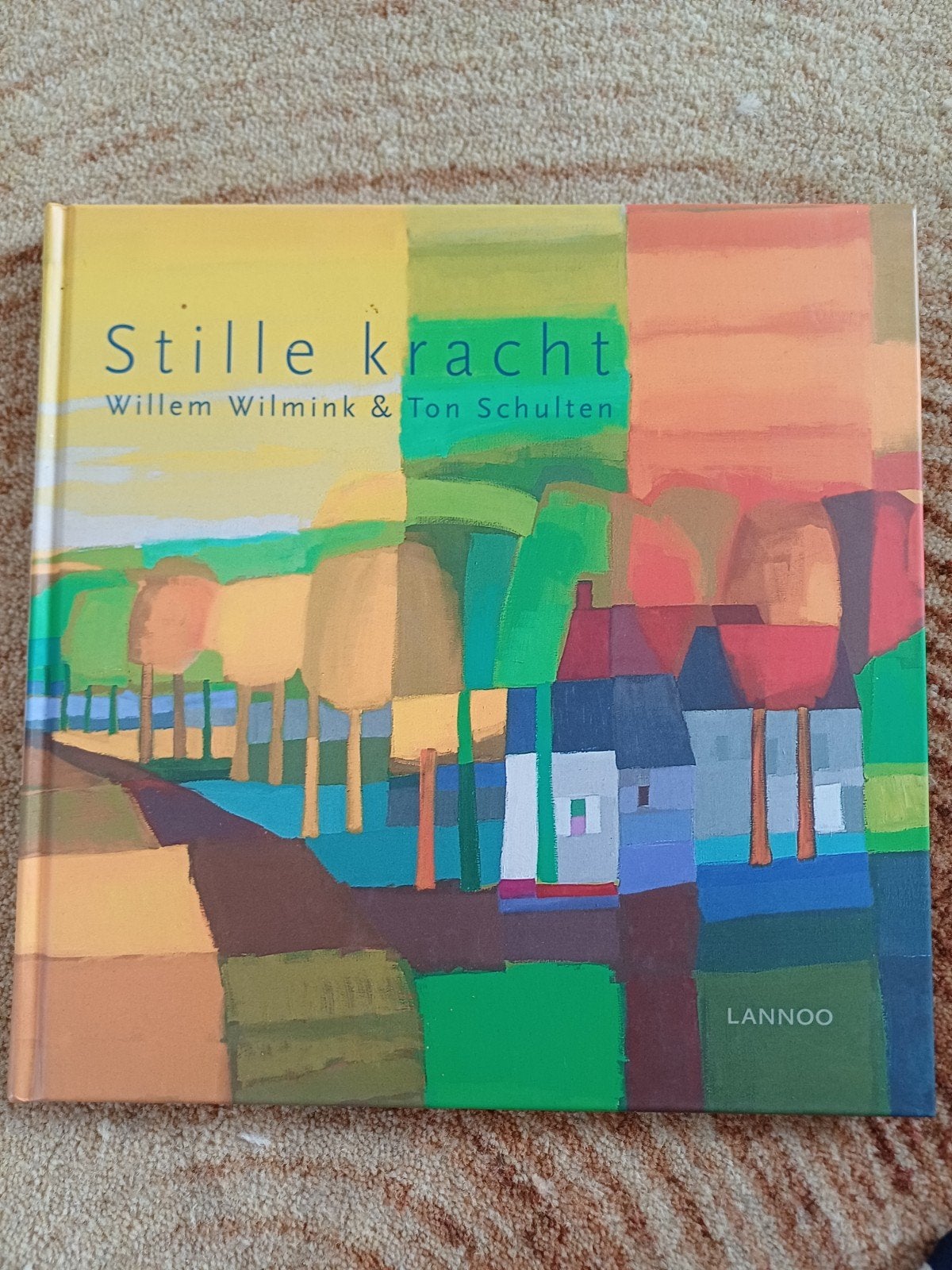 Ton Schulten - Stille kracht, Ophalen of Verzenden, Zo goed als nieuw, Ton Schulten; Willem Wilmink