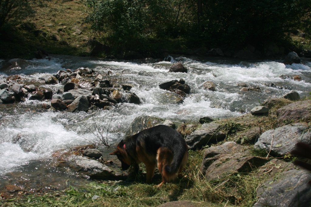 gratis keien, Ophalen, Gebruikt, Multi, Kei