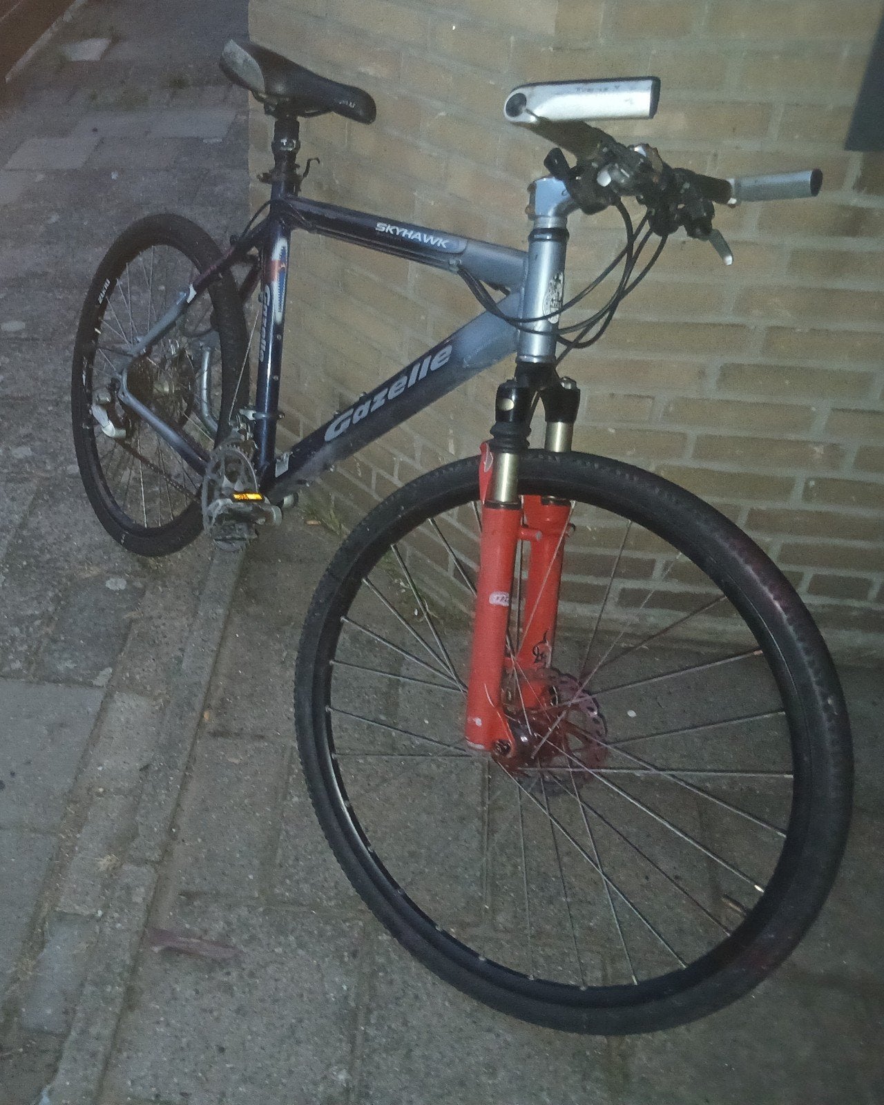 Gazelle Mountainbike - Goed Onderhouden