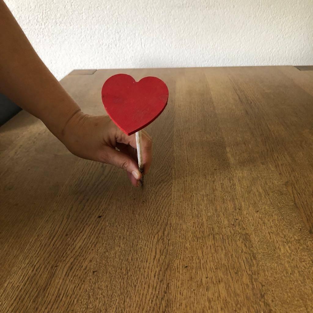 bloemschik hartje, Ophalen of Verzenden, Zo goed als nieuw, Knutselmateriaal