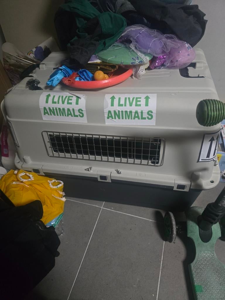 hondenbench / dog crate, Ophalen, Zo goed als nieuw