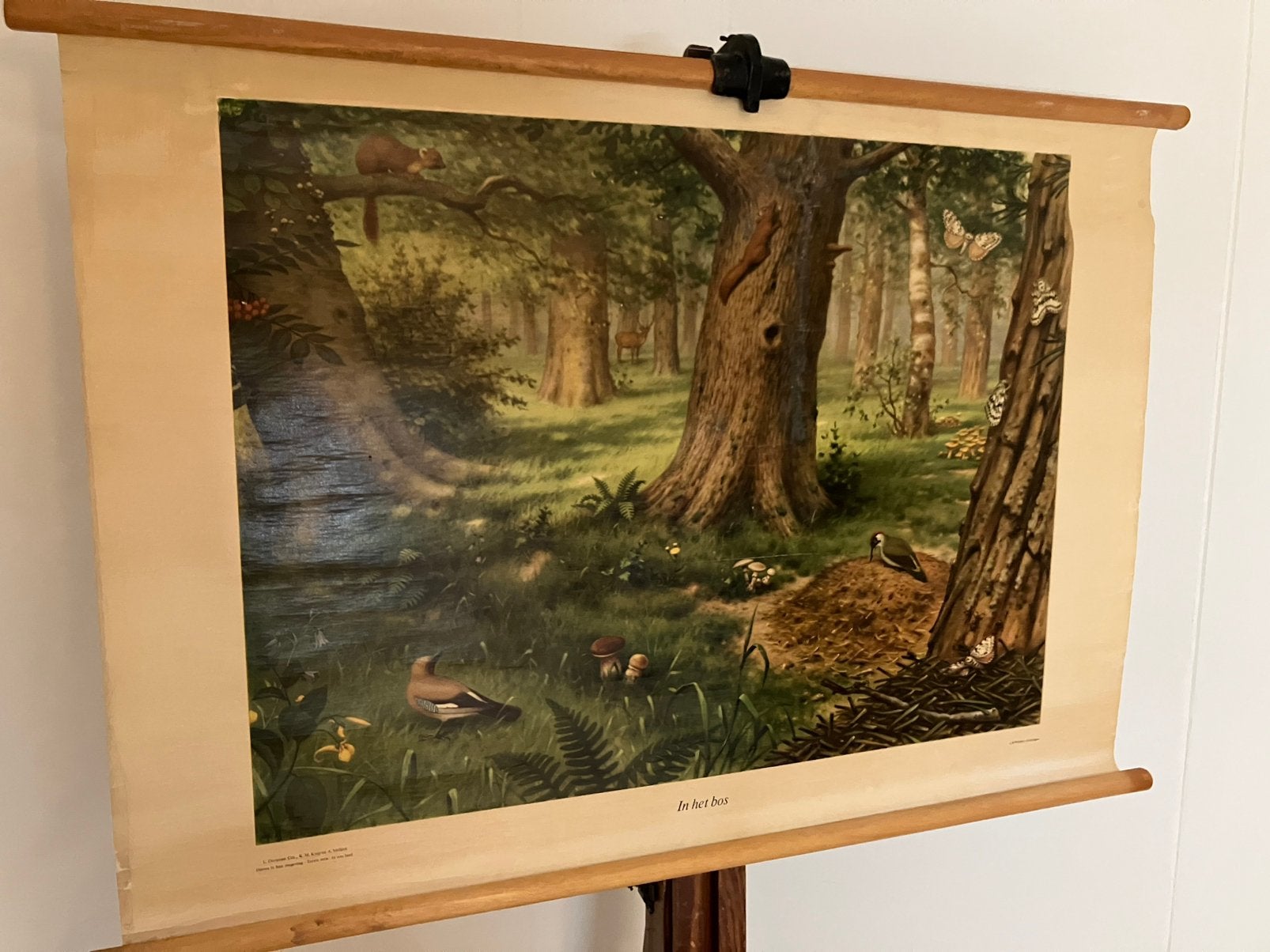 Schoolplaat in het Bos, Antiek en Kunst, Ophalen of Verzenden, Natuur en Biologie