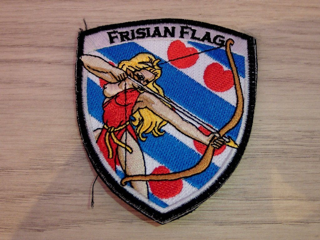 Patch RNLAF 323 Squadron Diana Frisian Flag, Verzenden, Luchtmacht, Nederland, Embleem of Badge
