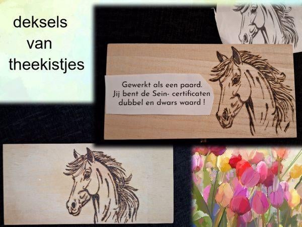 Origineel cadeau: gepersonaliseerd theedoosje Creamar, Hout, Nieuw, Ophalen of Verzenden, Meerkleurig