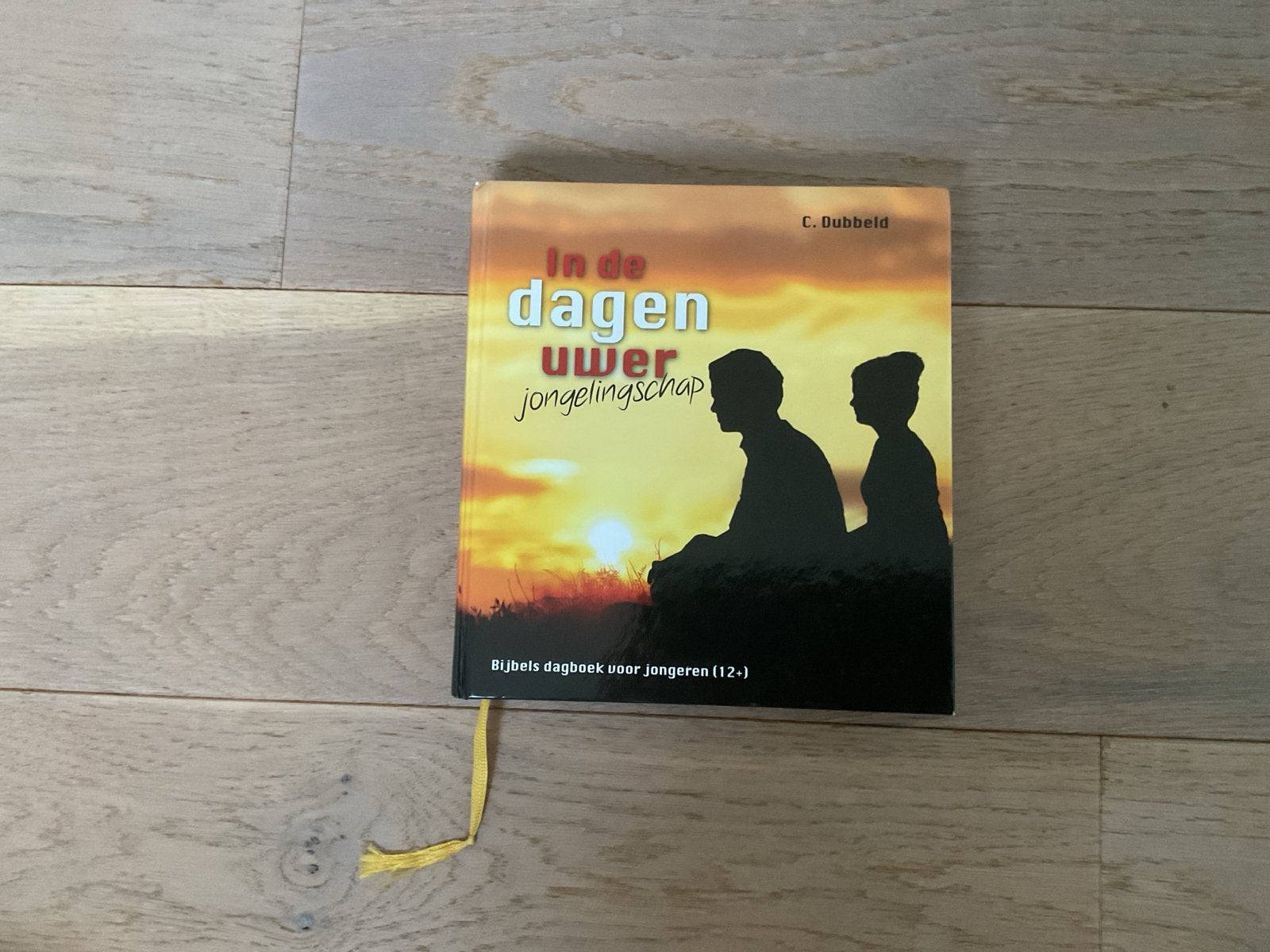 Nieuw! Bijbels dagboek voor jongeren 12 jaar, Ophalen of Verzenden, Zo goed als nieuw, Christendom | Protestants