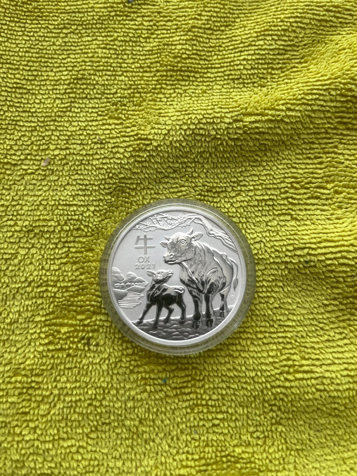 Australië 🇨🇰Lunar 3 Ox 🐂1 ounce 2021. Laatste., Ophalen of Verzenden, Zilver