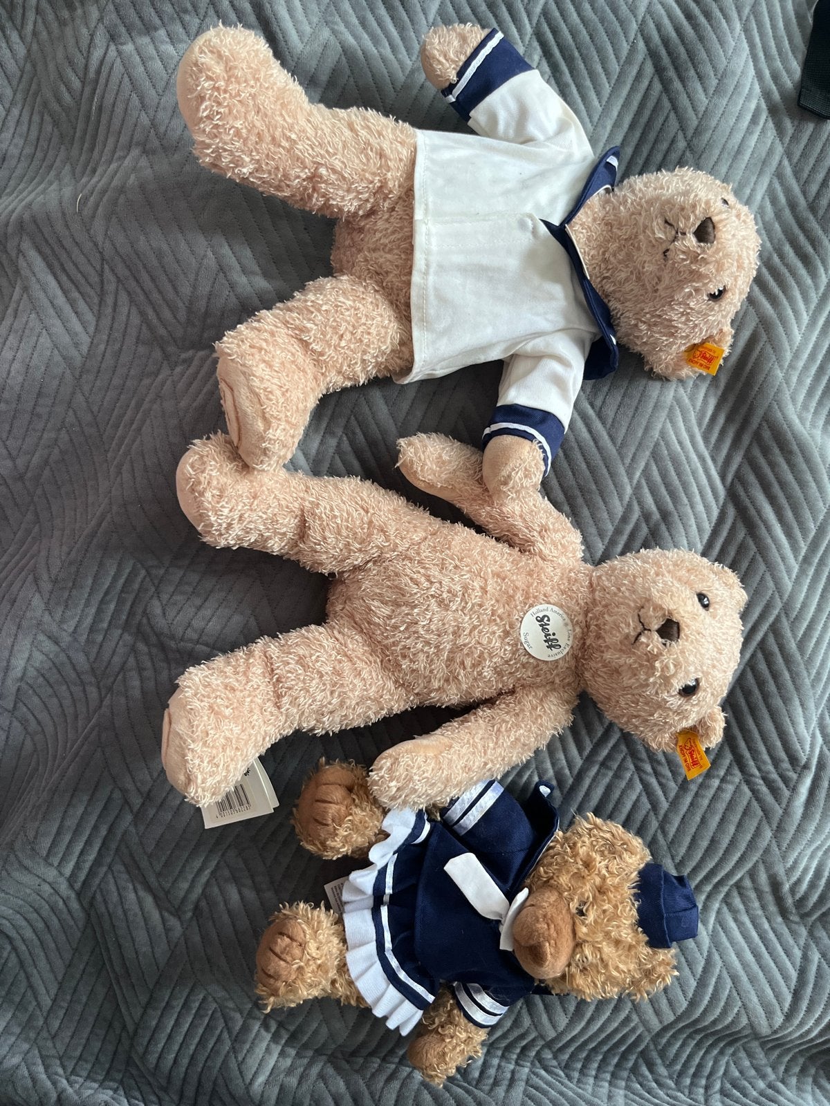 Holland America Line Exclusieve Steiff Teddyberen - Sugar, Ophalen of Verzenden, Zo goed als nieuw, Overige typen